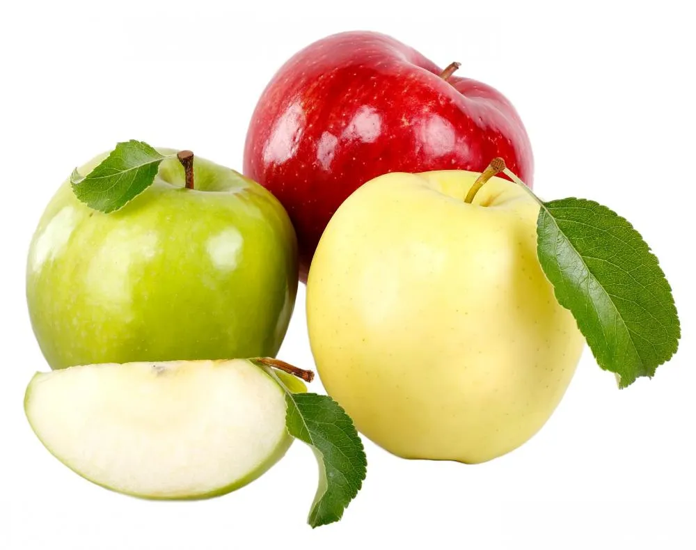 این غذاها را باید در رژیم روزانه خود داشته باشید