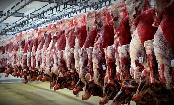 ثبات قیمت در بازار گوشت قرمز