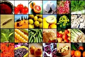 مثبت بودن افزایش نرخ ارز برای کشاورزی