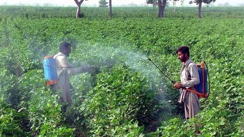 مقاومت موسسات در برابر واردات و تولید سموم کم‌خطر