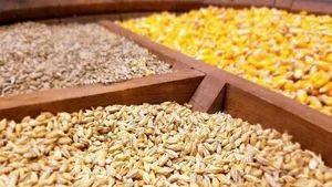 جزئیات تازه از واردات نهاده‌های دامی / گردش مالی سالانه به ۸ میلیارد دلار رسید
