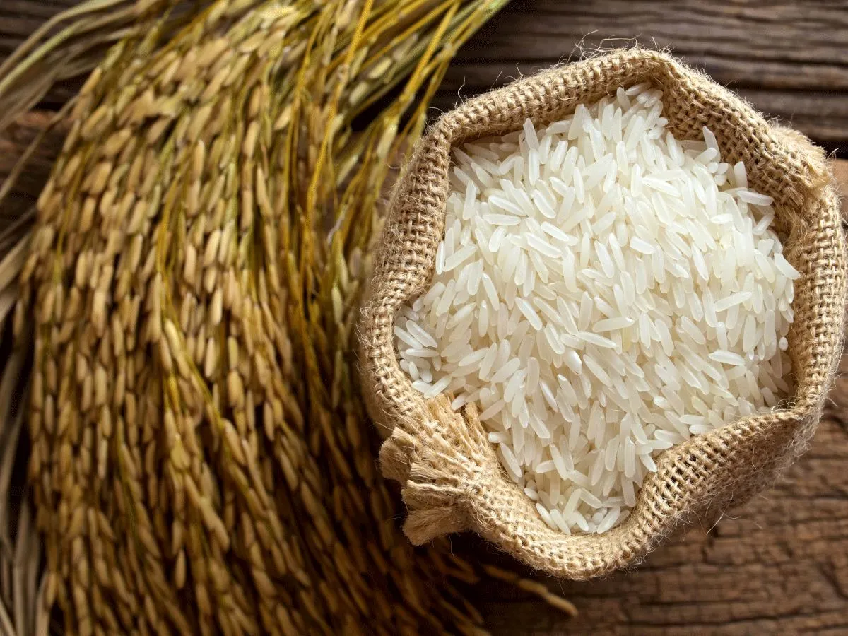 قیمت برنج خارجی آزاد و رقابتی می شود