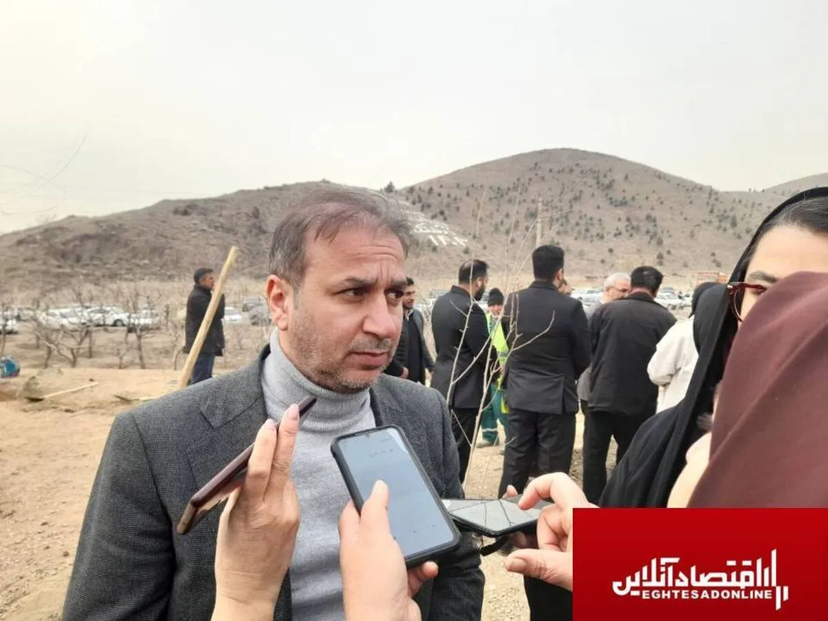 سرانه فضای سبز کلانشهر کرج باید به ۱۵ متر مربع برسد/درختان کرج شناسنامه دار می‌شوند