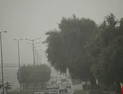 طوفان برق گلستان را قطع کرد