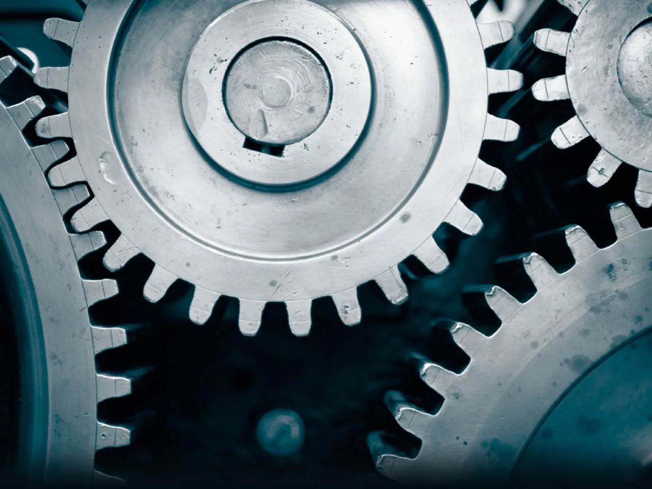 Industry-Wide Growth Momentum Continues
