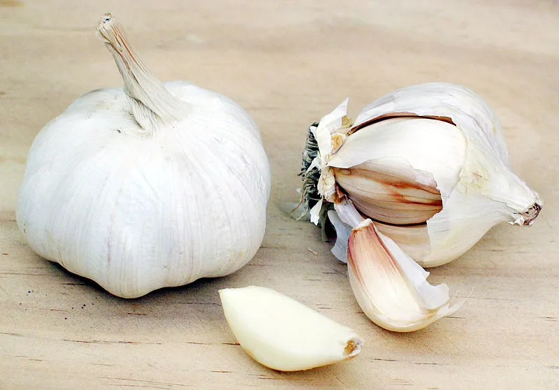 فواید معجزه آسای مصرف روزانه ۶ حبه سیر پخته شده