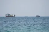 درگیری‌ها به کشتیرانی خلیج فارس رسید/ تردد کشتی‌ها ۴ درصد کاهش یافت