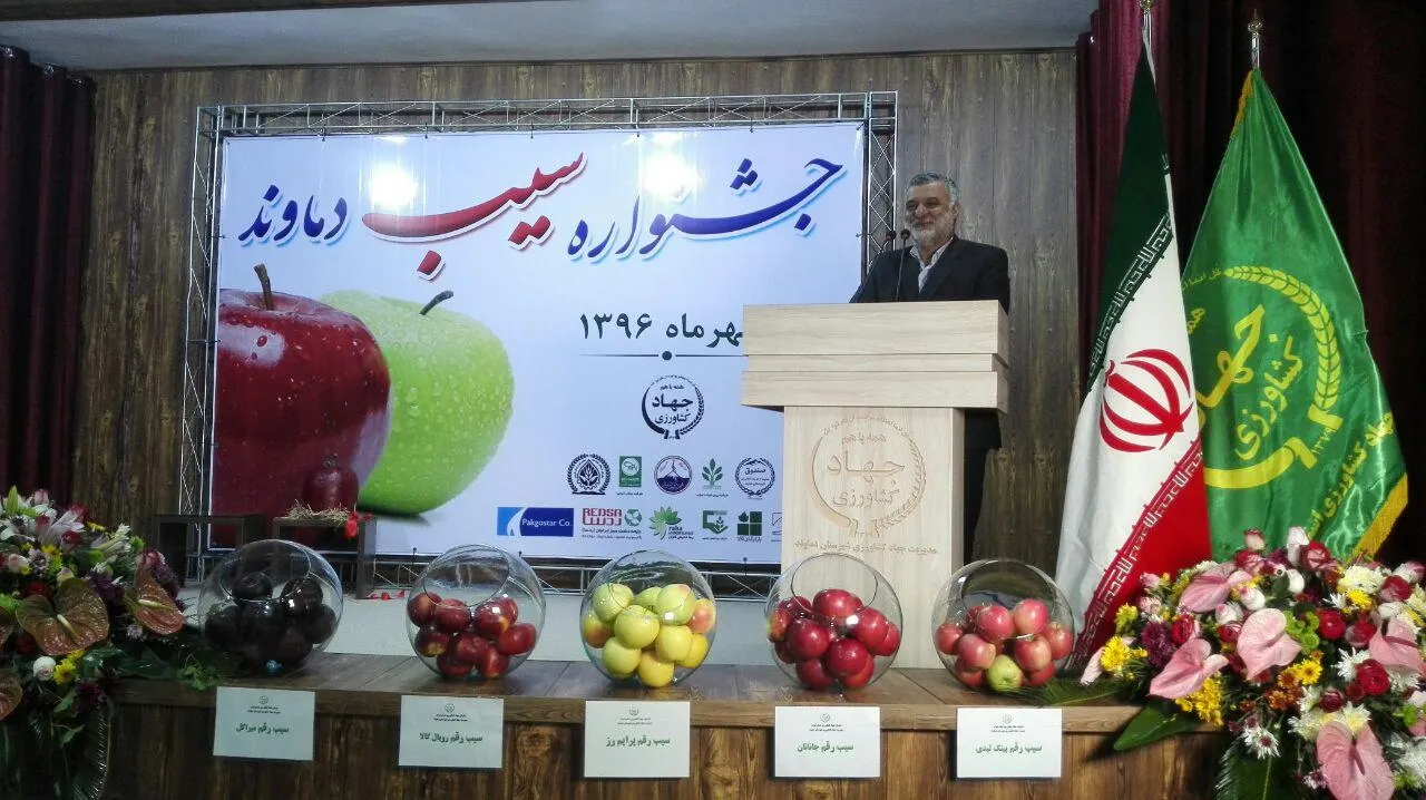 حجتی: تنها ۱۵ درصد محصولات کشاورزی صادر می‌شود