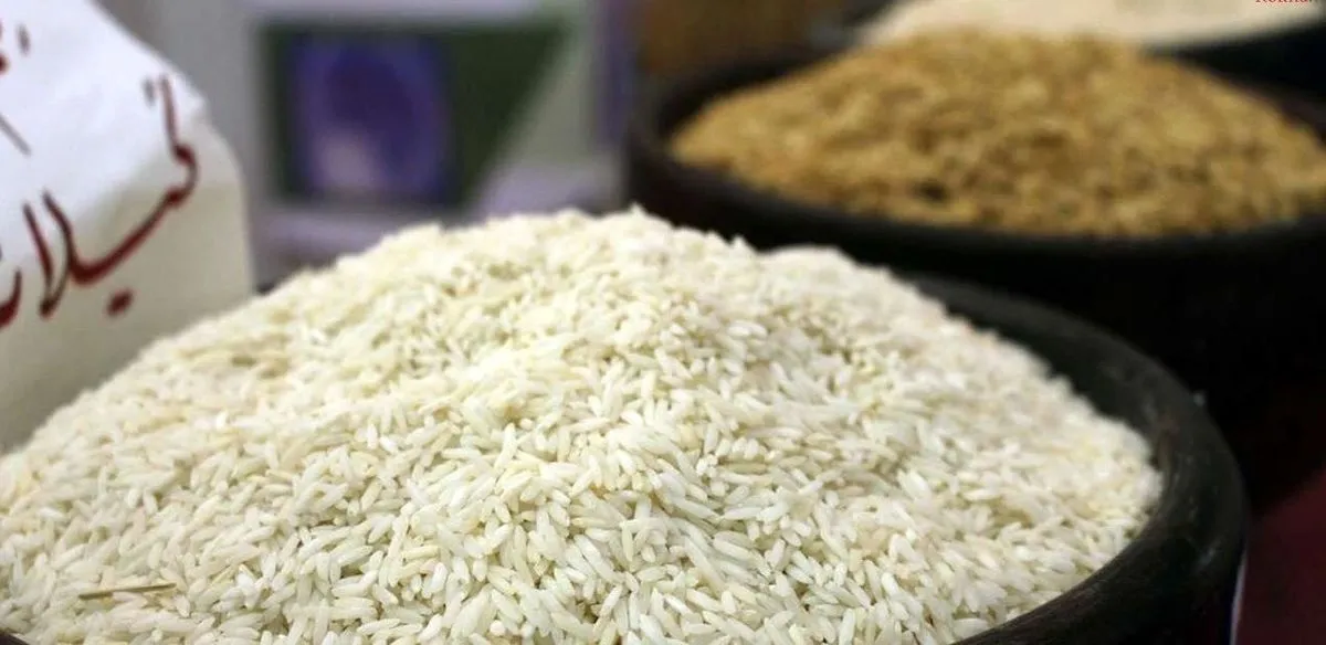 قیمت جدید برنج مازندران / هاشمی و طارم کیلویی چند؟ + جدول