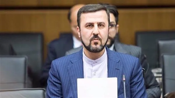 ادامه رایزنی دبیر ستاد حقوق بشر ایران در ژنو
