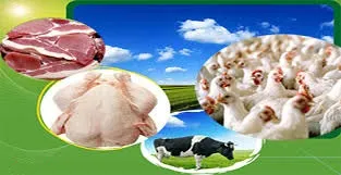 صادرات ۵۸ محصول خام دامی به کشورهای مختلف