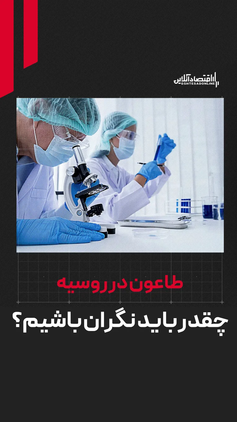 طاعون در روسیه | چقدر باید نگران باشیم؟