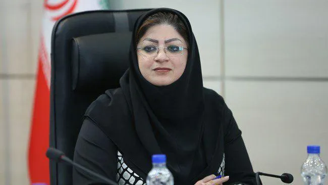 سامانه مودیان به تنهایی برای شناسایی فرار مالیاتی کافی نیست