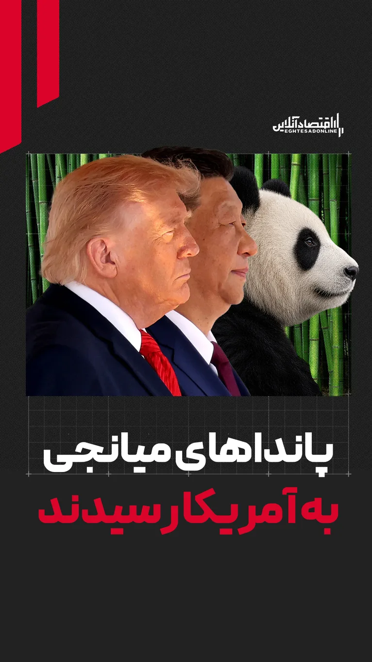 پاندا‌های میانجی به آتلانتا رسیدند