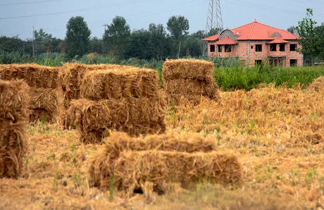 تکلیف زمین‌های کشاورزی برای تغییر کاربری تعیین می‌شود