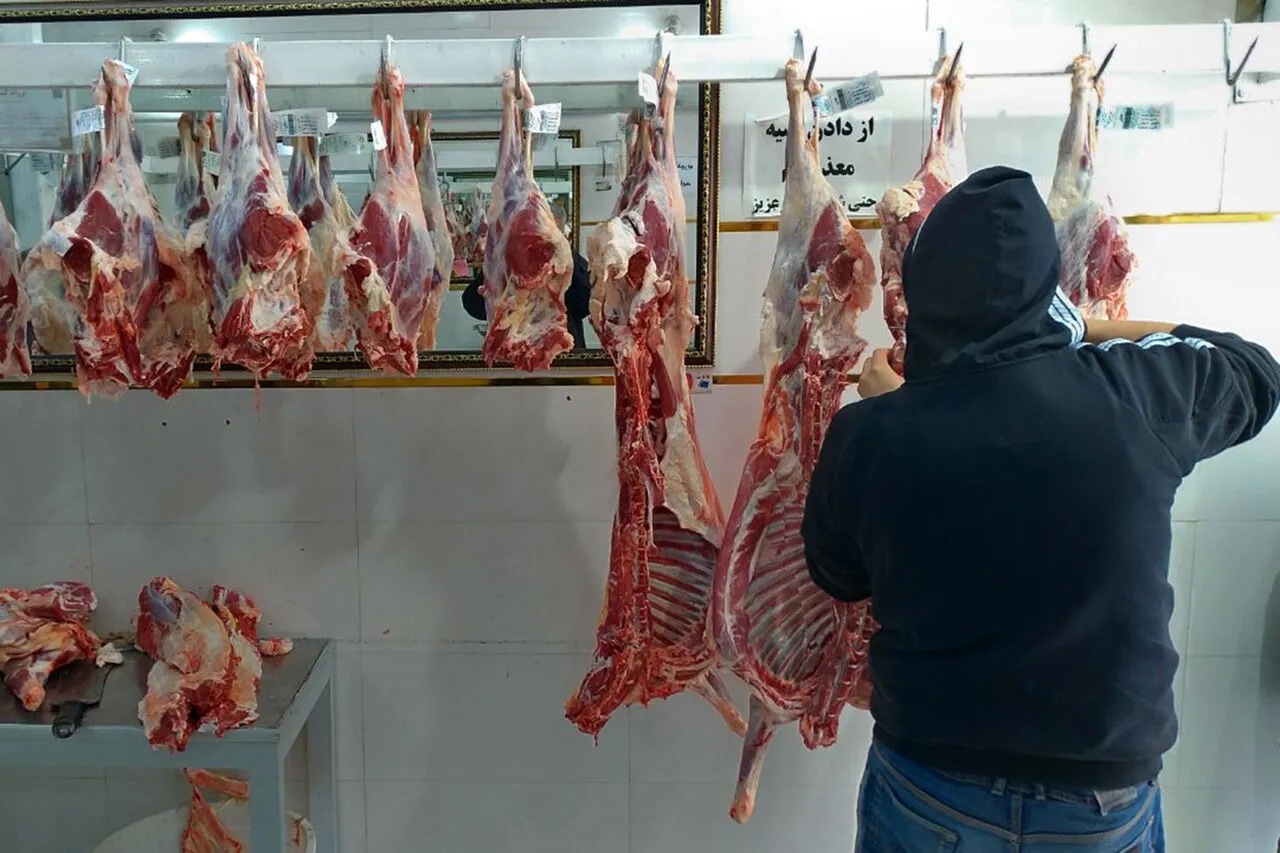 احتمال شیوع بیماری تب خونریزی دهنده کریمه کنگو