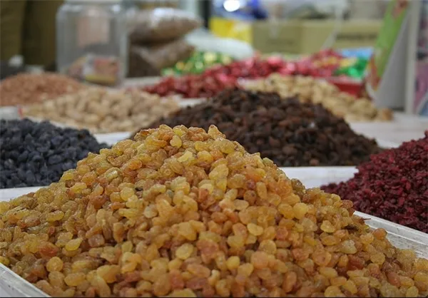 بدبینی باغداران به وعده پرداخت یارانه کشمش/ ۲۰تا ۴۰درصد پرداخت‌ها از سال۹۵ باقی مانده است/ انباشت بدهی دولت به کشاورزان با ادامه پرداخت یارانه‌ها