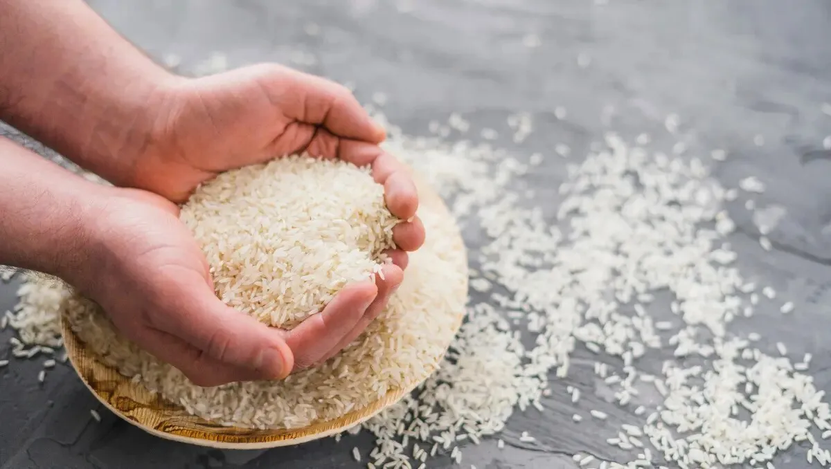 کمبود برنج نداریم/ با گرانفروشان برنج برخورد می شود