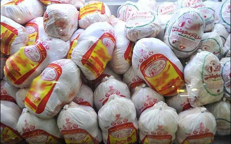 مرغ ارزان می‌شود اگر دانه به موقع تامین شود