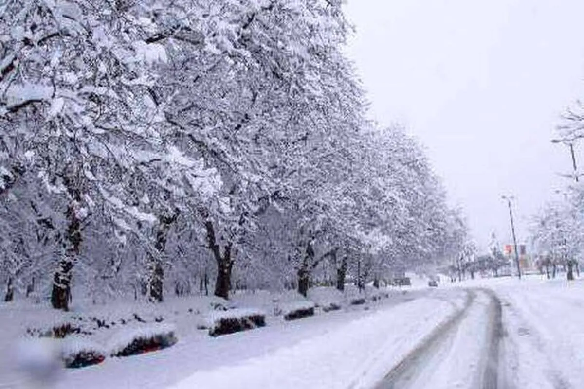 بارش شدید برف همدان را سفیدپوش کرد+ عکس