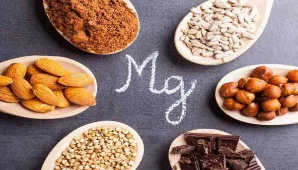 ۳ ماده مغذی که باید در رژیم غذایی خود بگنجانید