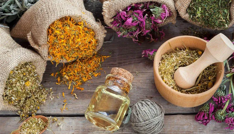 گیاهان دارویی برای درمان کبد چرب