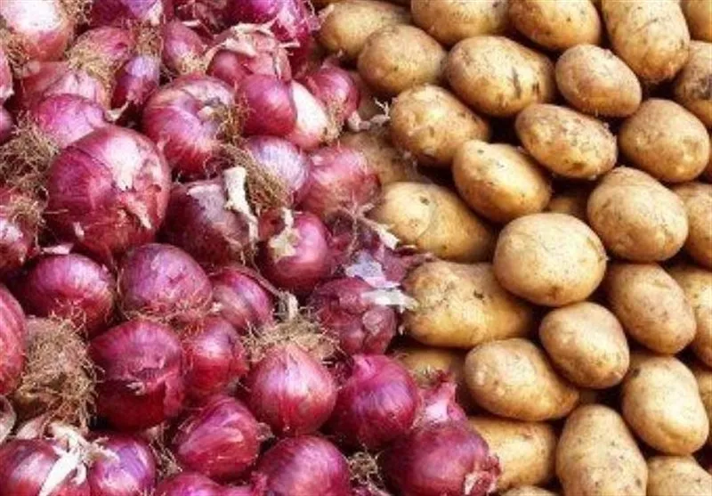 صادرات پیاز و سیب زمینی ممنوع می شود